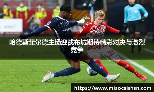 bsports官网入口