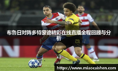 bsports官网入口