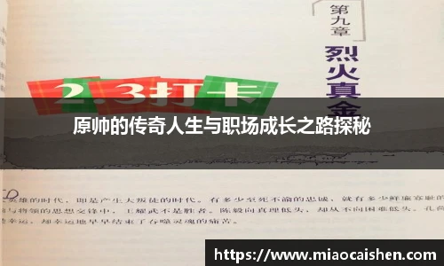原帅的传奇人生与职场成长之路探秘